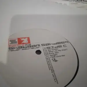 S-Dub (3) Aka Shabaam Sahdeeq – Never Say Never