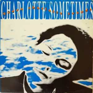 Charlotte Sometimes (2) – Queen Charlotte Sounds