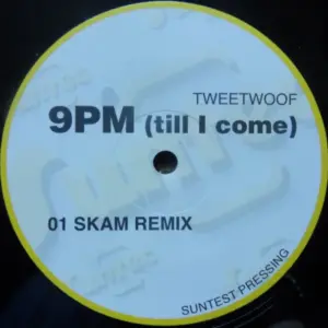 Tweetwoof – 9PM Till I Come