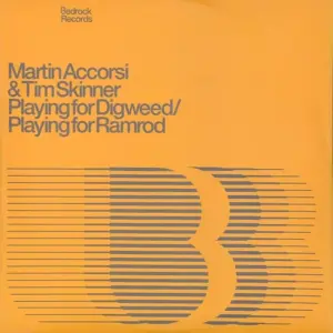 Martin Accorsi & Tim Skinner – Playing For Digweed