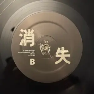 Alpine Decline – 消失​/​Disappearance