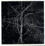 Chllngr – Haven
