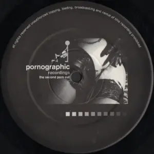 Various – The Second Porn Cut