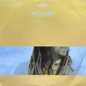 DJ Scot Project – L (Want Your Love)