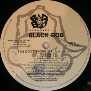 Black Rob – You Don't Know Me