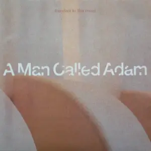 A Man Called Adam – Barefoot In The Head