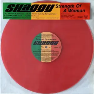 Shaggy – Strength Of A Woman