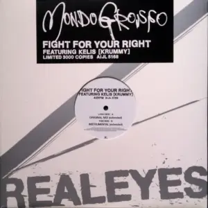 Mondo Grosso – Fight For Your Right