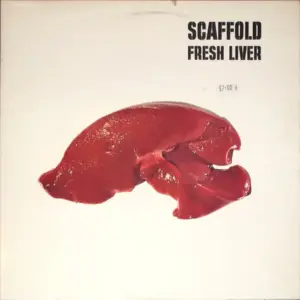 Scaffold – Fresh Liver