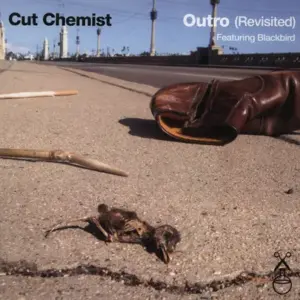 Cut Chemist – Outro (Revisited)