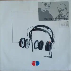 Mr. X & Mr. Y – What's Up At The Brotherfront