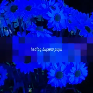 hedfog – Mind Making