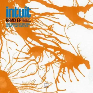 Intuit – Remix EP