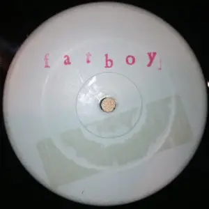 Fatboy Slim vs. Rolling Stones, The – Satisfaction Skank