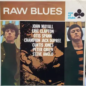 Various – Raw Blues