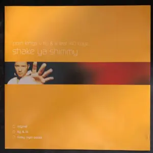 Porn Kings V Flip & Fill Feat. 740 Boyz – Shake Ya Shimmy