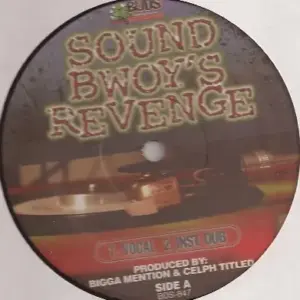 Sound Bwoy's Revenge – Sound Bwoy's Revenge
