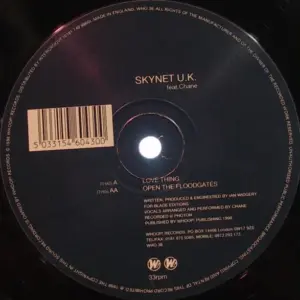 Skynet UK Feat. Chane – Love Thing / Open The Floodgates