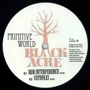 Primitive World – Danceteria