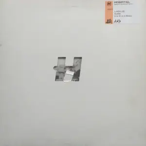 Landslide – Drum & Bossa / Buddah
