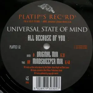 Universal State Of Mind – All Because Of You