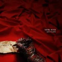 Tribe Rock – Spare No Pains