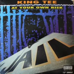 King Tee – At Your Own Risk
