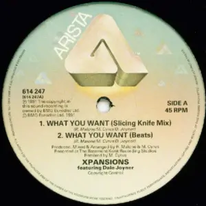 Xpansions Featuring Dale Joyner – What You Want (Remixes)