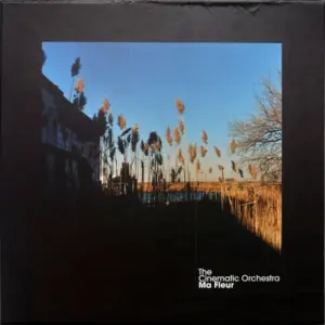Cinematic Orchestra, The – Ma Fleur