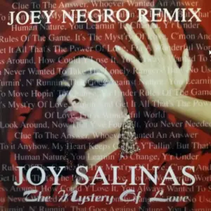 Joy Salinas – The Mystery Of Love (Joey Negro Remix)