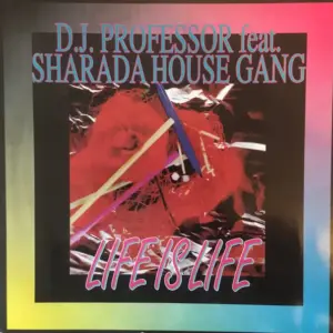 DJ Professor – Life Is Life