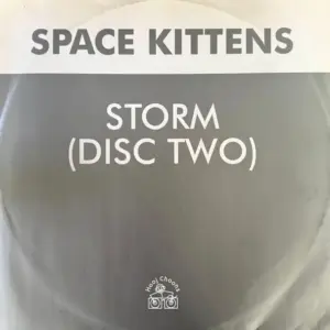 Space Kittens – Storm 