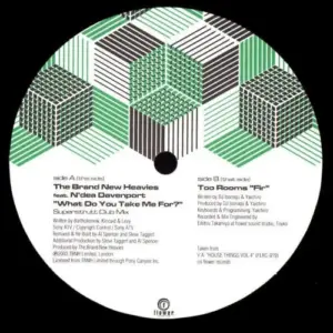 Brand New Heavies, The / Too Rooms – What Do You Take Me For? / FIR