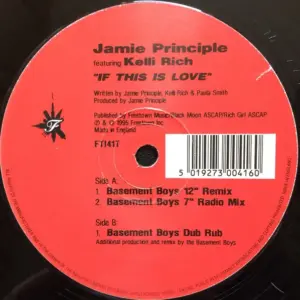 Jamie Principle Featuring Kelli Rich – If This Is Love