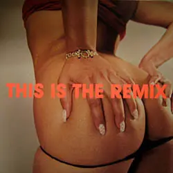 Spank Rock – This Is The Remix