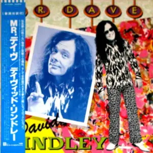 David Lindley – Mr. Dave