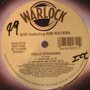 She (7) Featuring Kim Waters – Hello Stranger