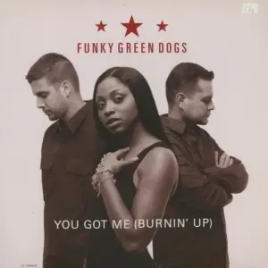 Funky Green Dogs – You Got Me (Burnin' Up)