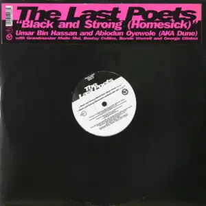 Last Poets, The – Black And Strong (Homesick)