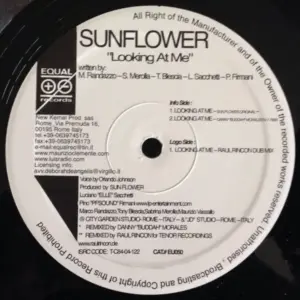 Sun Flower – Looking At Me