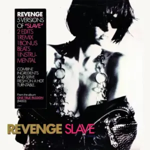 Revenge – Slave