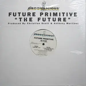 Future Primitive (2) – The Future