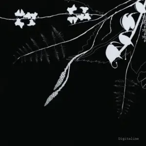 Digitaline – Rubicube / Belladone