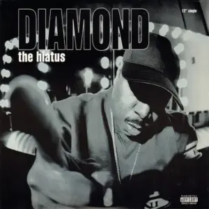 Diamond D – The Hiatus