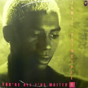 Jamie Principle – You're All I've Waited 4