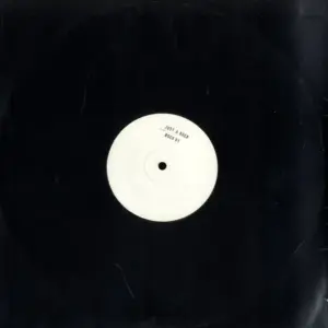 Unknown Artist – Just A Rock