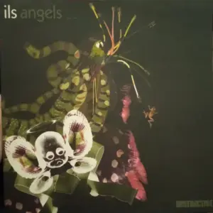 Ils – Angels (Part Two)