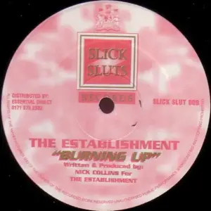 Establishment, The – Burning Up