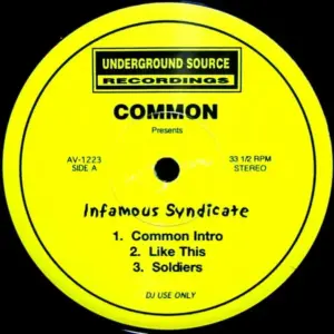 Common – Infamous Syndicate