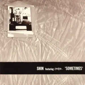 Shin feat. 2 Player – Sometimes